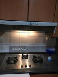 Spring Grove (D10), Condominium #130898962
